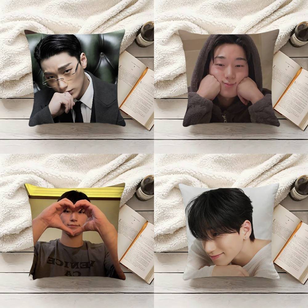 C-Choi S-San Sarung Bantal Sof - Home.Textiles Cushion ulasan dan harga