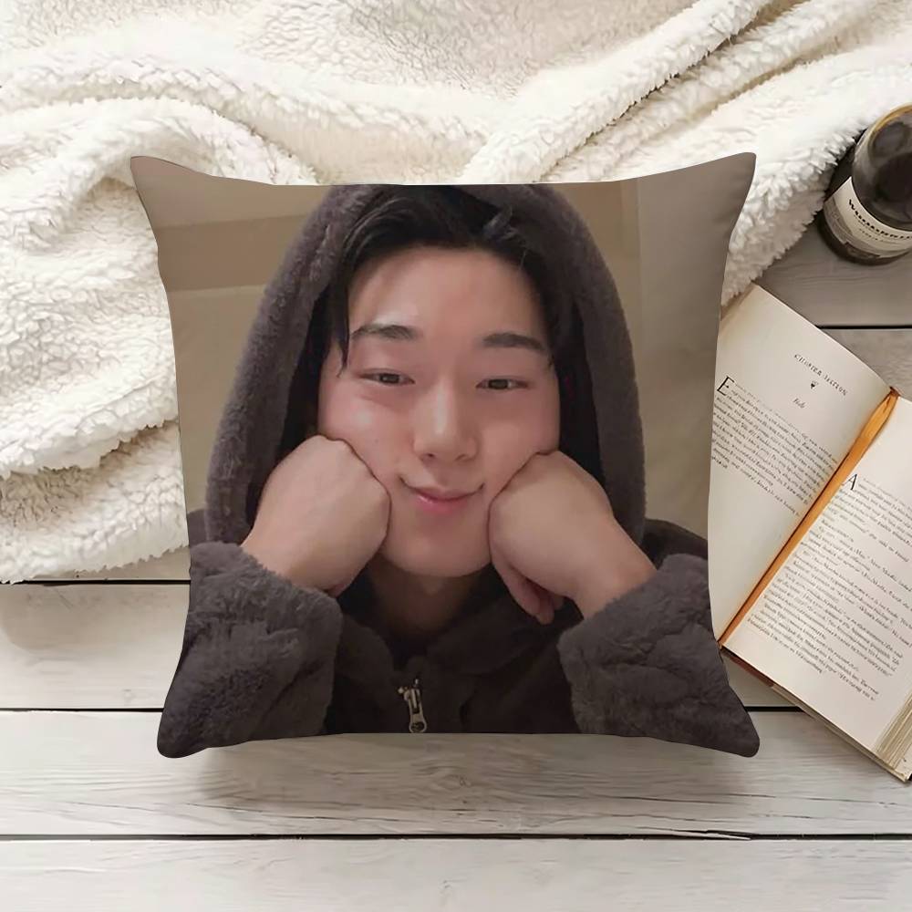 C-Choi S-San Sarung Bantal Sof - Home.Textiles Cushion ulasan dan harga